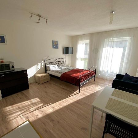 Lodging 13 Apartment Offenburg Bagian luar foto