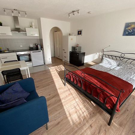 Lodging 13 Apartment Offenburg Bagian luar foto